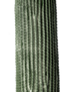 GloboStar® Artificial Garden CARNEGIEA CACTUS 20126 Τεχνητό Διακοσμητικό Φυτό Κάκτος Σαγκουάρο Υ100cm