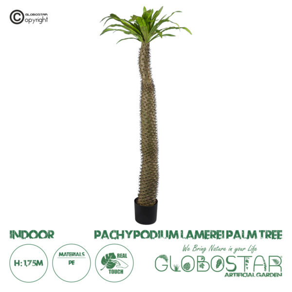 GloboStar® Artificial Garden PACHYPODIUM LAMEREI PALM TREE 20130 Τεχνητό Διακοσμητικό Φυτό Φοίνικας της Μαγαδασκάρης Υ175cm