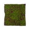 GloboStar® Artificial Garden BRYOPHYTA 20143 Τεχνητό Διακοσμητικό Πάνελ Φυλλωσιάς – Κάθετος Κήπος Βρύα Μ100 x Π100 x Υ5cm