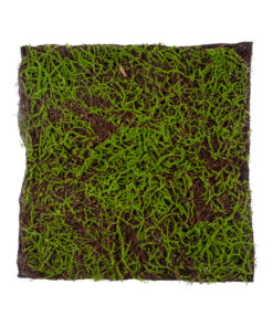 GloboStar® Artificial Garden BRYOPHYTA 20143 Τεχνητό Διακοσμητικό Πάνελ Φυλλωσιάς – Κάθετος Κήπος Βρύα Μ100 x Π100 x Υ5cm