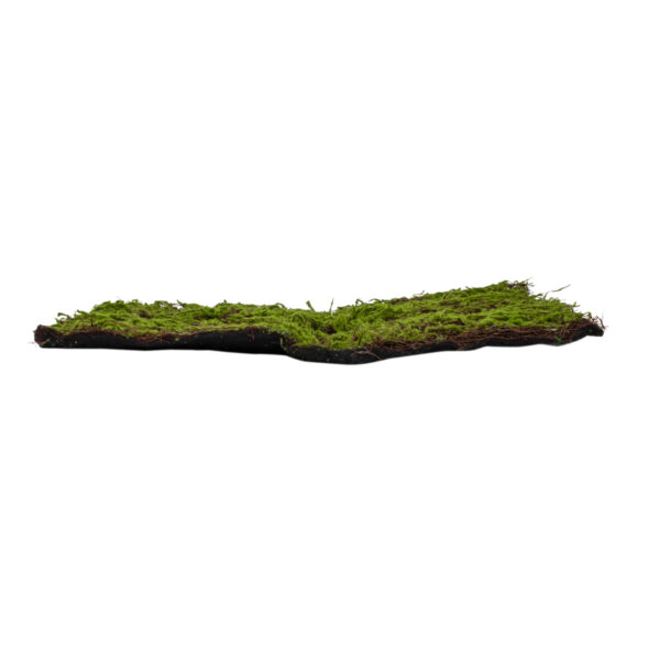 GloboStar® Artificial Garden BRYOPHYTA 20143 Τεχνητό Διακοσμητικό Πάνελ Φυλλωσιάς – Κάθετος Κήπος Βρύα Μ100 x Π100 x Υ5cm