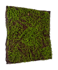 GloboStar® Artificial Garden BRYOPHYTA 20143 Τεχνητό Διακοσμητικό Πάνελ Φυλλωσιάς – Κάθετος Κήπος Βρύα Μ100 x Π100 x Υ5cm