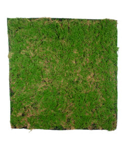 GloboStar® Artificial Garden BRYOPHYTA 20144 Τεχνητό Διακοσμητικό Πάνελ Φυλλωσιάς – Κάθετος Κήπος Βρύα Μ100 x Π100 x Υ3cm