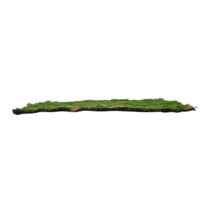 GloboStar® Artificial Garden BRYOPHYTA 20144 Τεχνητό Διακοσμητικό Πάνελ Φυλλωσιάς – Κάθετος Κήπος Βρύα Μ100 x Π100 x Υ3cm