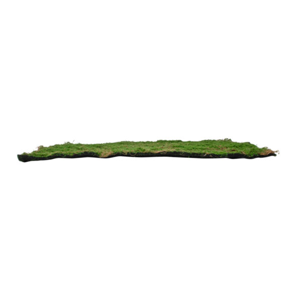 GloboStar® Artificial Garden BRYOPHYTA 20144 Τεχνητό Διακοσμητικό Πάνελ Φυλλωσιάς – Κάθετος Κήπος Βρύα Μ100 x Π100 x Υ3cm