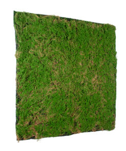 GloboStar® Artificial Garden BRYOPHYTA 20144 Τεχνητό Διακοσμητικό Πάνελ Φυλλωσιάς – Κάθετος Κήπος Βρύα Μ100 x Π100 x Υ3cm