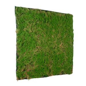GloboStar® Artificial Garden BRYOPHYTA 20144 Τεχνητό Διακοσμητικό Πάνελ Φυλλωσιάς – Κάθετος Κήπος Βρύα Μ100 x Π100 x Υ3cm