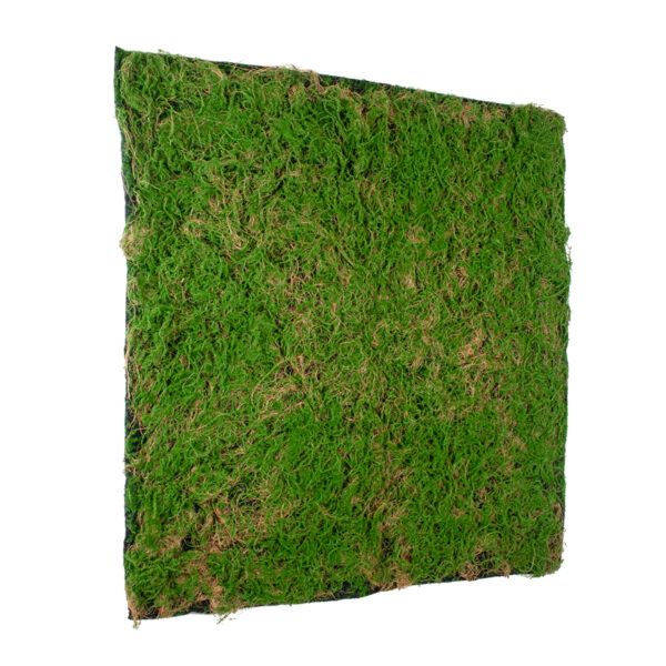 GloboStar® Artificial Garden BRYOPHYTA 20144 Τεχνητό Διακοσμητικό Πάνελ Φυλλωσιάς – Κάθετος Κήπος Βρύα Μ100 x Π100 x Υ3cm
