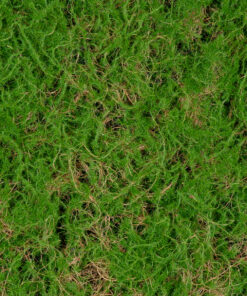 GloboStar® Artificial Garden BRYOPHYTA 20144 Τεχνητό Διακοσμητικό Πάνελ Φυλλωσιάς – Κάθετος Κήπος Βρύα Μ100 x Π100 x Υ3cm