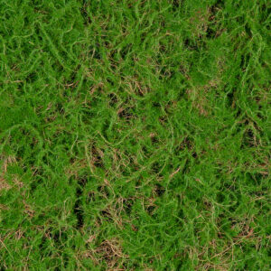 GloboStar® Artificial Garden BRYOPHYTA 20144 Τεχνητό Διακοσμητικό Πάνελ Φυλλωσιάς – Κάθετος Κήπος Βρύα Μ100 x Π100 x Υ3cm