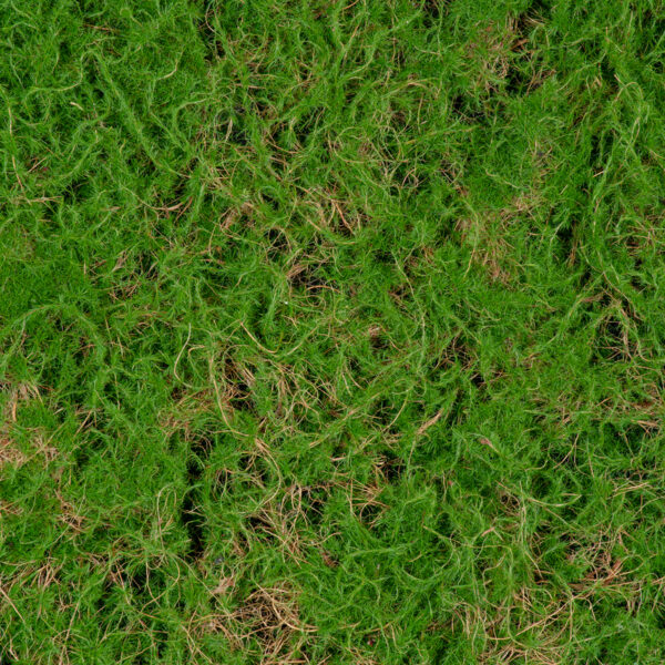 GloboStar® Artificial Garden BRYOPHYTA 20144 Τεχνητό Διακοσμητικό Πάνελ Φυλλωσιάς – Κάθετος Κήπος Βρύα Μ100 x Π100 x Υ3cm