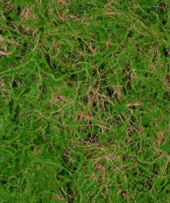 GloboStar® Artificial Garden BRYOPHYTA 20144 Τεχνητό Διακοσμητικό Πάνελ Φυλλωσιάς – Κάθετος Κήπος Βρύα Μ100 x Π100 x Υ3cm