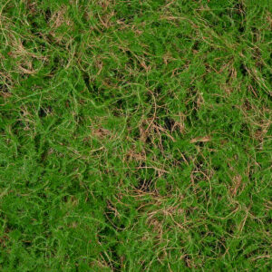 GloboStar® Artificial Garden BRYOPHYTA 20144 Τεχνητό Διακοσμητικό Πάνελ Φυλλωσιάς – Κάθετος Κήπος Βρύα Μ100 x Π100 x Υ3cm