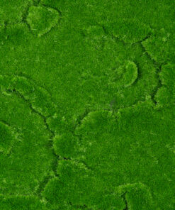 GloboStar® Artificial Garden BRYOPHYTA 20145 Τεχνητό Διακοσμητικό Πάνελ Φυλλωσιάς – Κάθετος Κήπος Βρύα Μ100 x Π100 x Υ3cm