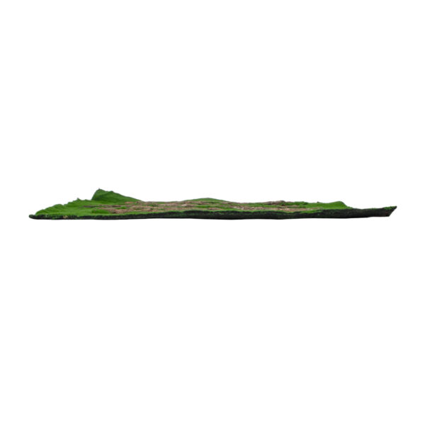 GloboStar® Artificial Garden BRYOPHYTA 20147 Τεχνητό Διακοσμητικό Πάνελ Φυλλωσιάς – Κάθετος Κήπος Βρύα Μ100 x Π100 x Υ3cm