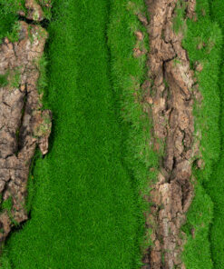 GloboStar® Artificial Garden BRYOPHYTA 20147 Τεχνητό Διακοσμητικό Πάνελ Φυλλωσιάς – Κάθετος Κήπος Βρύα Μ100 x Π100 x Υ3cm