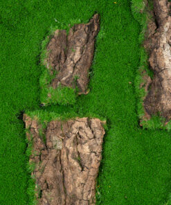 GloboStar® Artificial Garden BRYOPHYTA 20147 Τεχνητό Διακοσμητικό Πάνελ Φυλλωσιάς – Κάθετος Κήπος Βρύα Μ100 x Π100 x Υ3cm