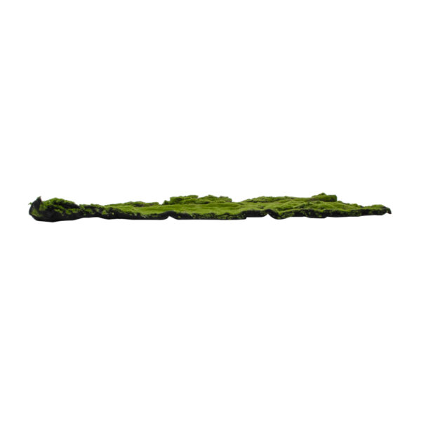GloboStar® Artificial Garden BRYOPHYTA 20148 Τεχνητό Διακοσμητικό Πάνελ Φυλλωσιάς – Κάθετος Κήπος Βρύα Μ100 x Π100 x Υ4cm