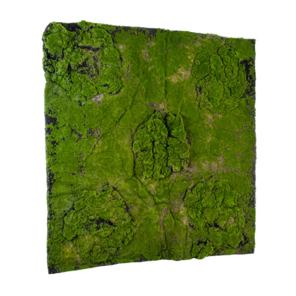 GloboStar® Artificial Garden BRYOPHYTA 20148 Τεχνητό Διακοσμητικό Πάνελ Φυλλωσιάς – Κάθετος Κήπος Βρύα Μ100 x Π100 x Υ4cm