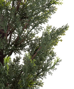 GloboStar® Artificial Garden LEMON CYPRESS 20151 Τεχνητό Διακοσμητικό Φυτό Λεμονόκυπάρισσο Υ120cm