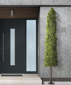 GloboStar® Artificial Garden BUXUS 20158 Τεχνητό Διακοσμητικό Φυτό Πυξός Υ250cm