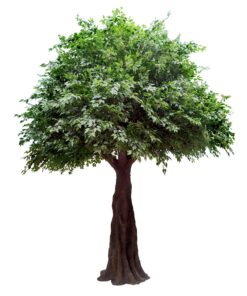 GloboStar® Artificial Garden BANYAN FICUS TREE 20160 Τεχνητό Διακοσμητικό Δέντρο Ινδική Συκιά Φίκος Υ340cm