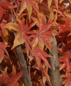 GloboStar® Artificial Garden MAPLE TREE 20162 Τεχνητό Διακοσμητικό Δέντρο Σφένδαμος Υ340cm