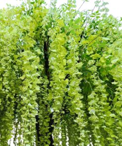 GloboStar® Artificial Garden LABURNUM TREE 20165 Τεχνητό Διακοσμητικό Δέντρο Λαβούρνο Υ340cm