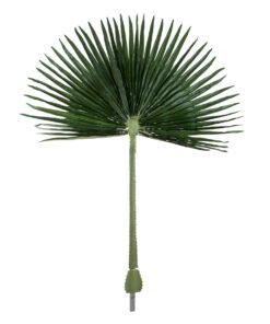 GloboStar® Artificial Garden WASHINGTONIA FILIFERA PALM LEAF 20170 Τεχνητό Διακοσμητικό Φύλο Φοινικόδεντρου Βεντάλια Π135 x Υ180cm