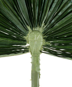 GloboStar® Artificial Garden WASHINGTONIA FILIFERA PALM LEAF 20170 Τεχνητό Διακοσμητικό Φύλο Φοινικόδεντρου Βεντάλια Π135 x Υ180cm