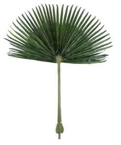 GloboStar® Artificial Garden WASHINGTONIA FILIFERA PALM LEAF 20171 Τεχνητό Διακοσμητικό Φύλο Φοινικόδεντρου Βεντάλια Π170 x Υ200cm