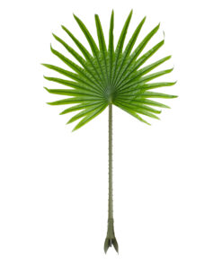 GloboStar® Artificial Garden SERENOA PALM LEAF 20172 Τεχνητό Διακοσμητικό Φύλο Φοινικόδεντρου Σερενόα Βεντάλια Π77 x Υ140cm