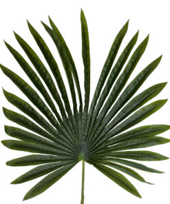 GloboStar® Artificial Garden SERENOA PALM LEAF 20173 Τεχνητό Διακοσμητικό Φύλο Φοινικόδεντρου Σερενόα Βεντάλια Π47 x Υ120cm