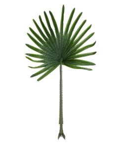 GloboStar® Artificial Garden SERENOA PALM LEAF 20174 Τεχνητό Διακοσμητικό Φύλο Φοινικόδεντρου Σερενόα Βεντάλια Π90 x Υ170cm
