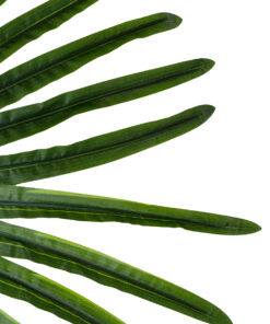 GloboStar® Artificial Garden SERENOA PALM LEAF 20174 Τεχνητό Διακοσμητικό Φύλο Φοινικόδεντρου Σερενόα Βεντάλια Π90 x Υ170cm