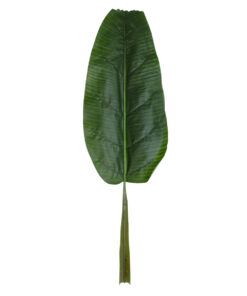 GloboStar® Artificial Garden BANANA TREE LEAF 20177 Τεχνητό Διακοσμητικό Φύλο Μπανανιάς – Μπανανόδεντρου Π30 x Υ100cm