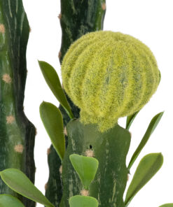 GloboStar® Artificial Garden CEREUS JAMACARU CACTUS 20193 Τεχνητό Διακοσμητικό Φυτό Κάκτος Κηρίος Υ120cm