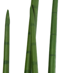 GloboStar® Artificial Garden SANSEVIERIA CYLINDRICA 20210 Τεχνητό Διακοσμητικό Φυτό Σανσεβιέρια Υ120cm