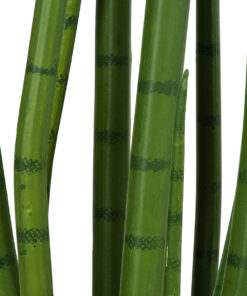 GloboStar® Artificial Garden SANSEVIERIA CYLINDRICA 20210 Τεχνητό Διακοσμητικό Φυτό Σανσεβιέρια Υ120cm