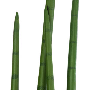 GloboStar® Artificial Garden SANSEVIERIA CYLINDRICA 20211 Τεχνητό Διακοσμητικό Φυτό Σανσεβιέρια Υ160cm