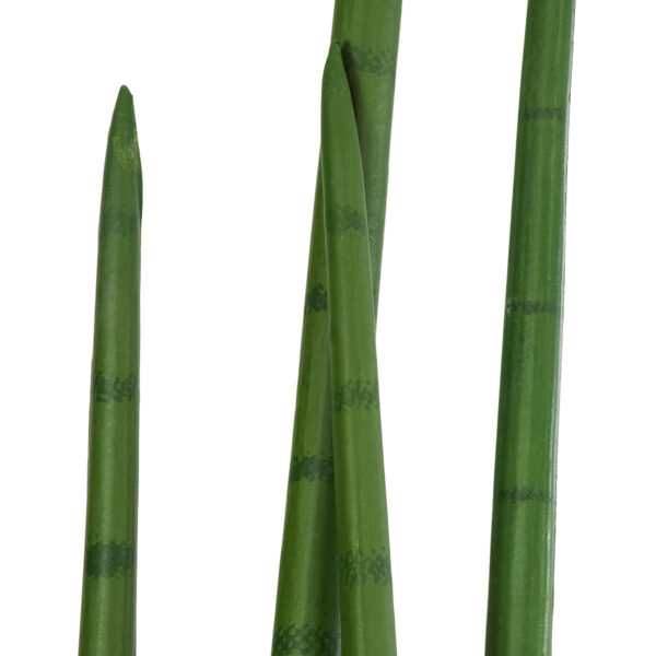 GloboStar® Artificial Garden SANSEVIERIA CYLINDRICA 20211 Τεχνητό Διακοσμητικό Φυτό Σανσεβιέρια Υ160cm
