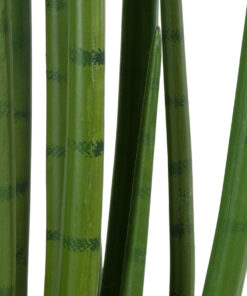 GloboStar® Artificial Garden SANSEVIERIA CYLINDRICA 20211 Τεχνητό Διακοσμητικό Φυτό Σανσεβιέρια Υ160cm