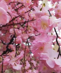 GloboStar® Artificial Garden CHERRY BLOSSOM TREE 20212 Τεχνητό Διακοσμητικό Δέντρο Άνθος Κερασιάς Υ300cm