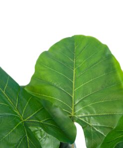 GloboStar® Artificial Garden TARO 20216 Τεχνητό Διακοσμητικό Φυτό Κολοκασία Υ140cm