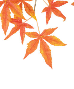 GloboStar® Artificial Garden MAPLE BRANCH 20230 10 x Τεχνητά Διακοσμητικά Κλαδία Σφένδαμου Π55 x Υ60cm