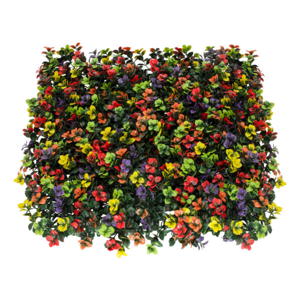 GloboStar® Artificial Garden FICUS GINSENG 20348 Τεχνητό Διακοσμητικό Πάνελ Φυλλωσιάς – Κάθετος Κήπος σύνθεση Πολύχρωμος Φίκος Τζίνσενγκ Μ50 x Π50 x Υ9cm
