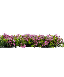 GloboStar® Artificial Garden CYPHEA HYSSOPIFOLIA 20350 Τεχνητό Διακοσμητικό Πάνελ Λουλουδιών – Κάθετος Κήπος σύνθεση Άνθος Κουφέας Μ50 x Π50 x Υ11cm