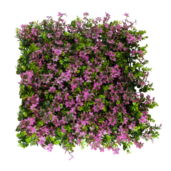 GloboStar® Artificial Garden CYPHEA HYSSOPIFOLIA 20350 Τεχνητό Διακοσμητικό Πάνελ Λουλουδιών – Κάθετος Κήπος σύνθεση Άνθος Κουφέας Μ50 x Π50 x Υ11cm