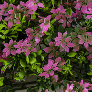 GloboStar® Artificial Garden CYPHEA HYSSOPIFOLIA 20350 Τεχνητό Διακοσμητικό Πάνελ Λουλουδιών – Κάθετος Κήπος σύνθεση Άνθος Κουφέας Μ50 x Π50 x Υ11cm