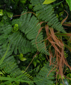 GloboStar® Artificial Garden JUNGLE FERN 20351 Τεχνητό Διακοσμητικό Πάνελ Φυλλωσιάς – Κάθετος Κήπος σύνθεση Ζούγκλα Φτέρης Μ100 x Π100 x Υ20cm